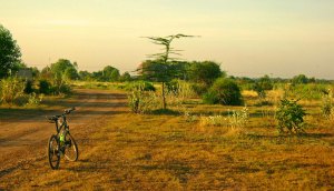 It’s beautiful and peaceful.