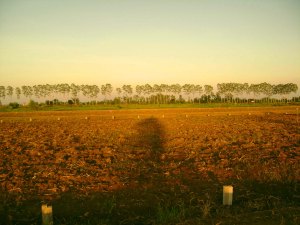 Once a mine field, this land is now cleared and is sectioned off for future sale. Soon it will be full of houses and shops.