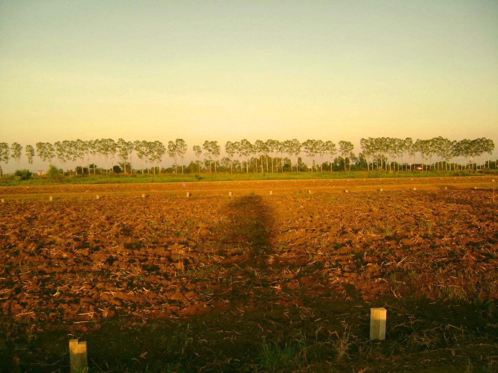 Once a mine field, this land is now cleared and is sectioned off for future sale. Soon it will be full of houses and shops.