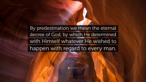 499198-John-Calvin-Quote-By-predestination-we-mean-the-eternal-decree-of